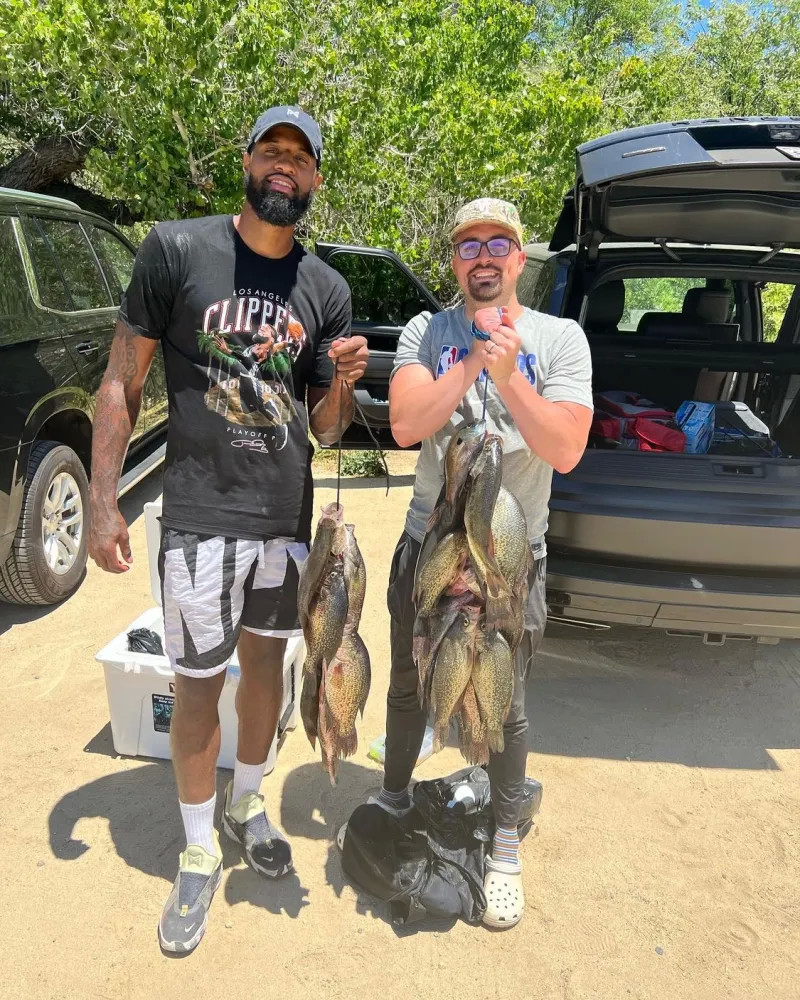 能量分配 能量分配